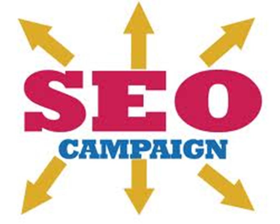 will Provide Complete SEO Campaign to Boost your Site Ranking, Increase Traffic