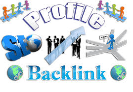 will will manually create 30 top quality HIGH PR9 backlinks from pr9 authority sites, ping