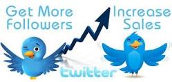 will I will give Real 4000 + Twitter Followers for for for for