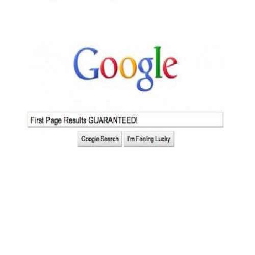 will Rank your website on 1st Page of Google Guaranteed Results