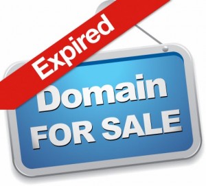 will Buy High Authority Expired Domains