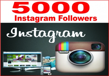 will Get 5000+ insta gram followers or likes
