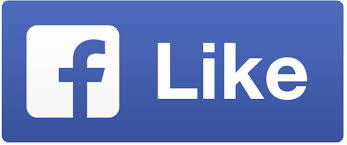 will 20,000+ Facebook FanPage's Post, PHOTO, STATUS LIKES With Very Fast