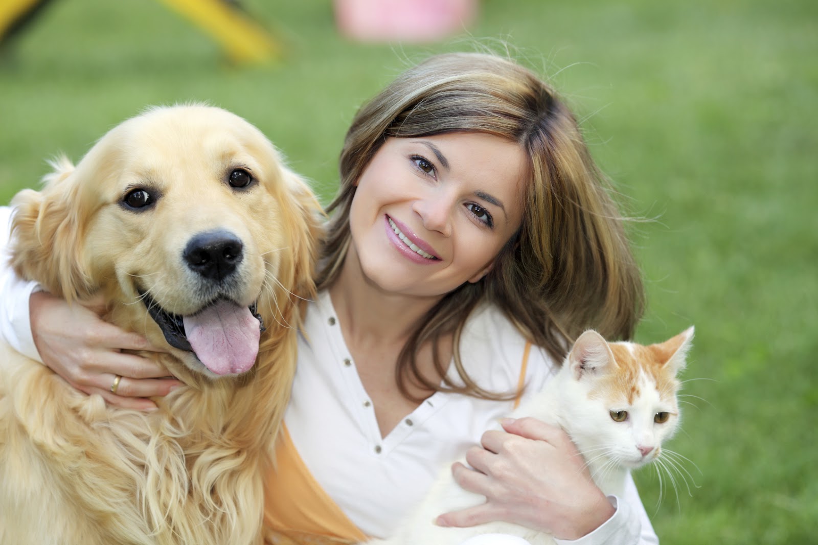 will do Guest Post on Pet Blog