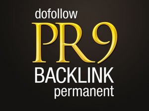 will SERPs Booster-30 backlinks from 22 PR9 + 11 PR8 domains best result-2015