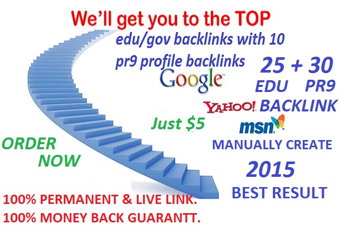 i will create 25 edugov and 30 PR9 profile backlink just