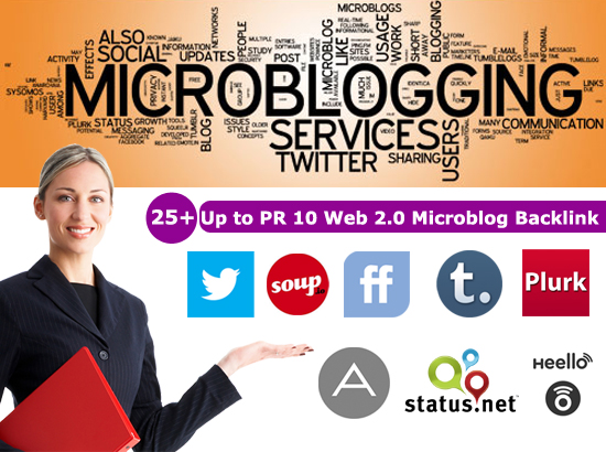 will Manually create 25+ up to PR 10 web2.0 microblog backlink to boost up seo