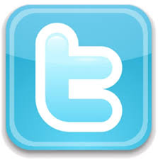 will 1000+ HQ USA Twitter followers All Profile in 24 hours Only