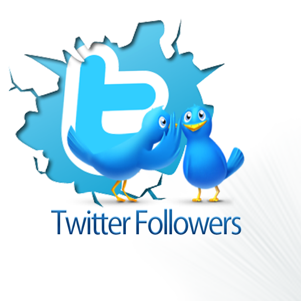 will Add 1000+ Real Verified Twitter Followers Fast just