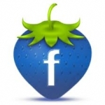 will GET 3000 HQ FB PHOTOPOST LIKES/VIDEO LIKES NO TIMELINE OR PROFILE LIKES(NOT IT/photo.php?fbid)