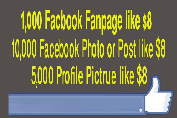 will 1000 facebook fanpage 10k photo 5k profile photo like