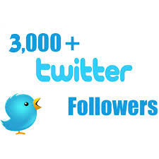 will Provide 3,000+ High Quality Twitter Followers to your profile