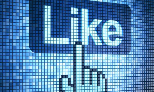 will NON DROP 500+ Facebook Page Likes