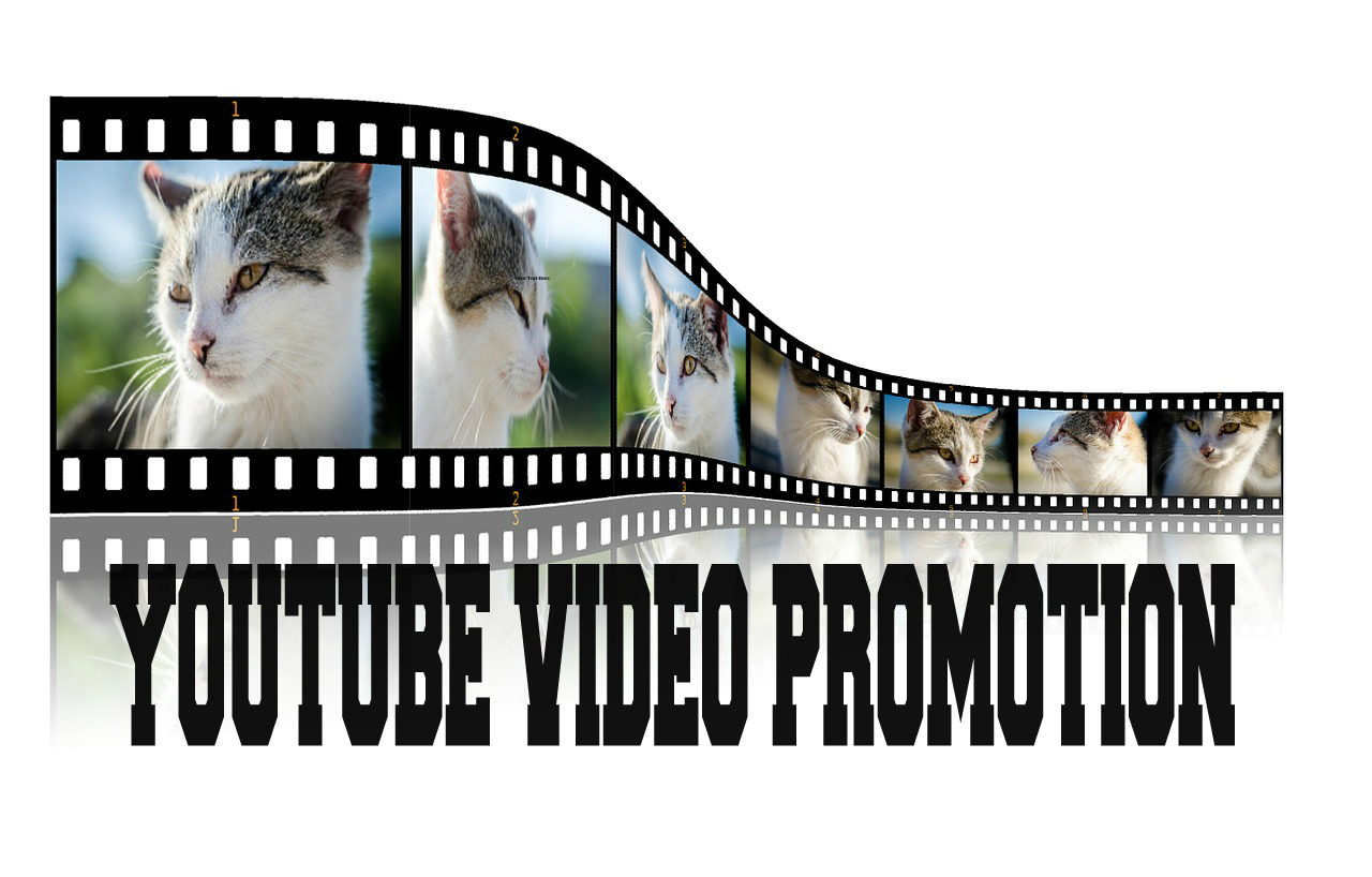 will 3000+ ORGANIC (Adsense Safe Verified) YOUTUBE VIDEO VIEWS IN 4 DAYS
