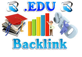 will I will build 20 Edu Profile High PR Backlinks rank on google for