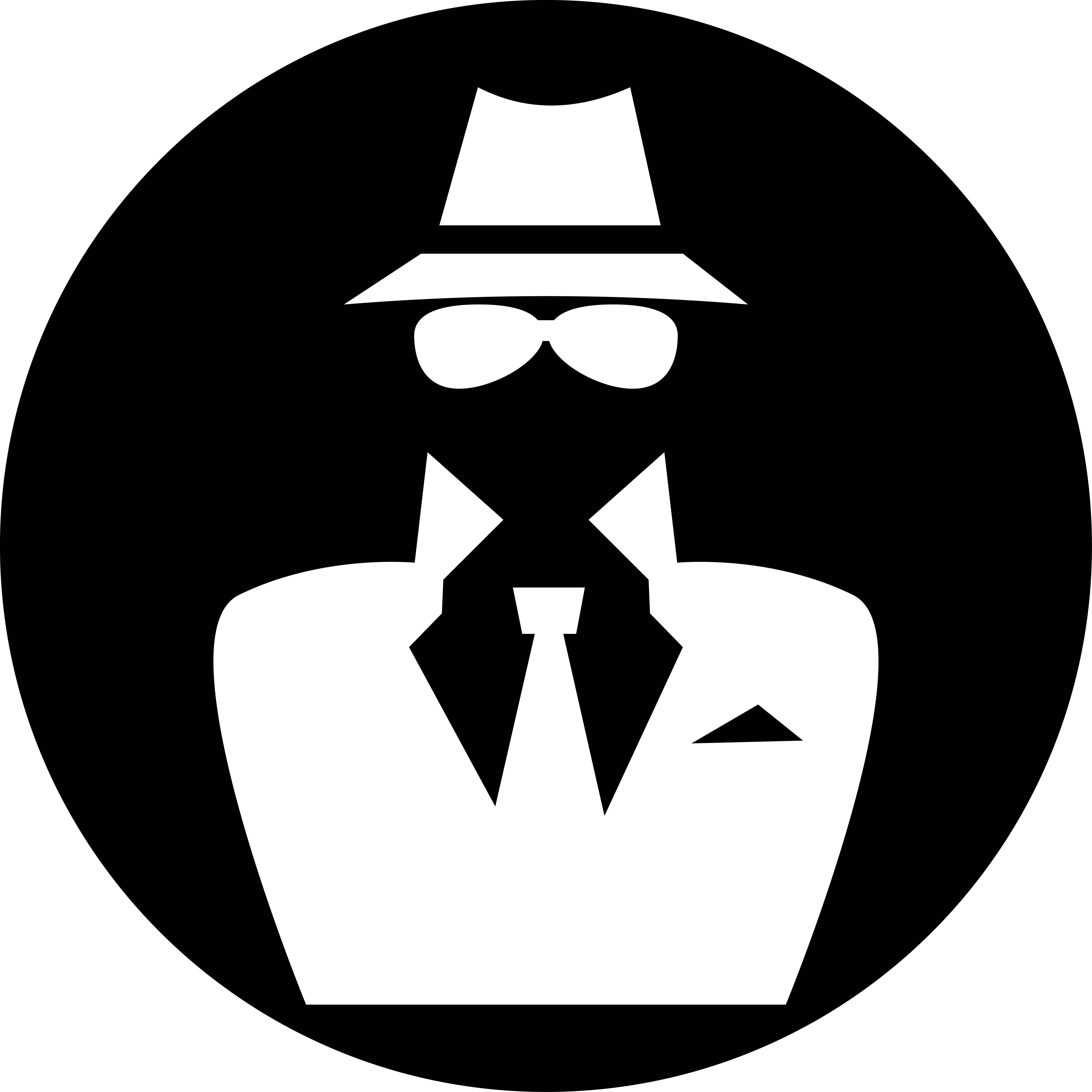 will Security audit of your website