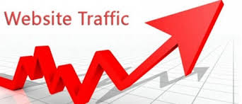 will UNLIMITED REAL HUMAN Website TRAFFIC for 2 months