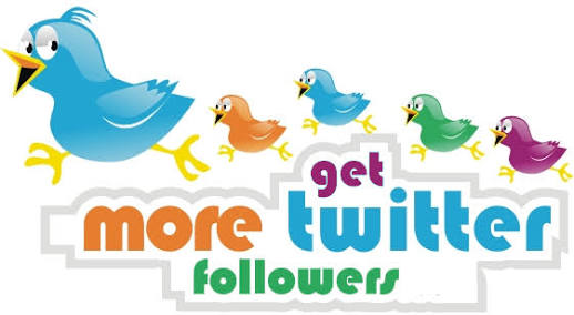 will I will give you 565+ twitter follower from different countries only
