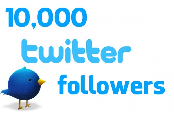 will i will provide 10000 twitter followers