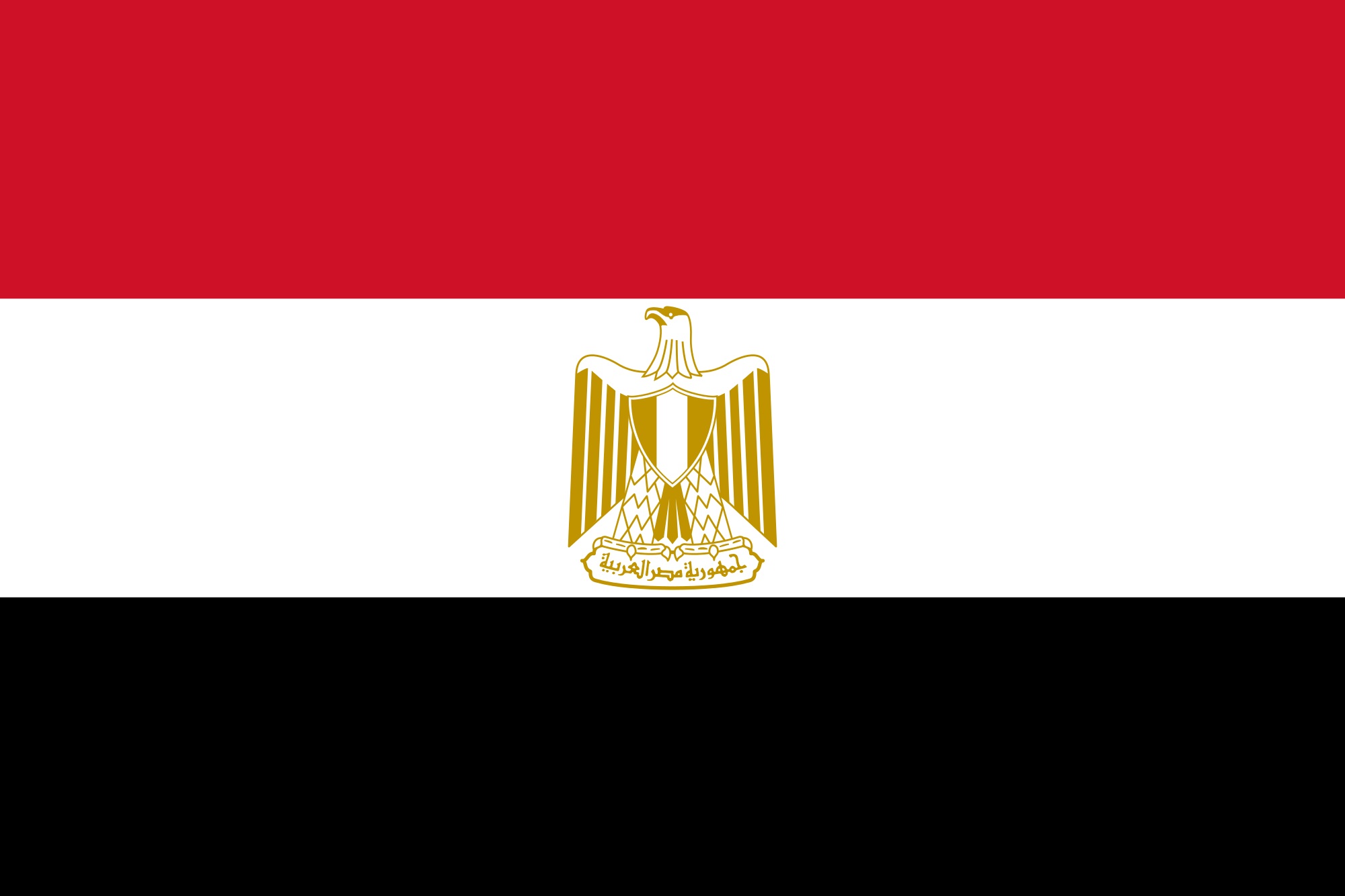 will 3,000 Real Human Targeted Traffic From Egypt
