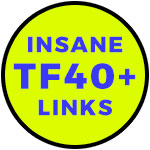 will ★INSTANT BOOST in SERPs: TF 40+ HOMEPAGE LINKS