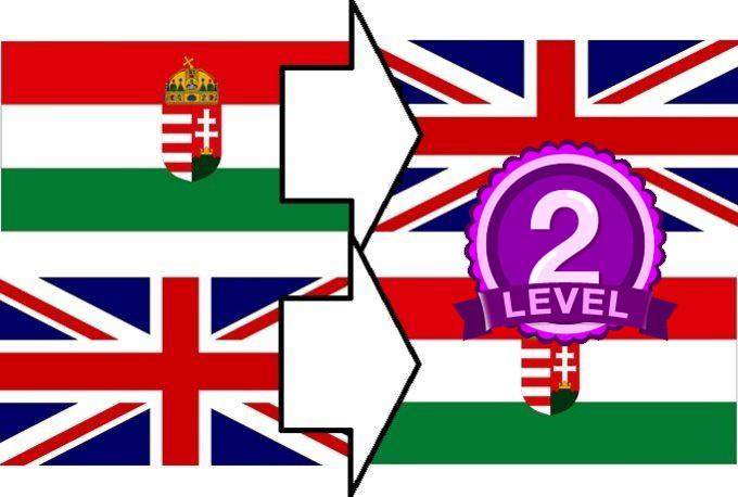 will Professional English to Hungarian translation English to Hungarian and vica versa