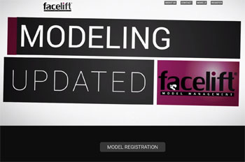 will Professional multimedia website in 2 weeks! Fast delivery.