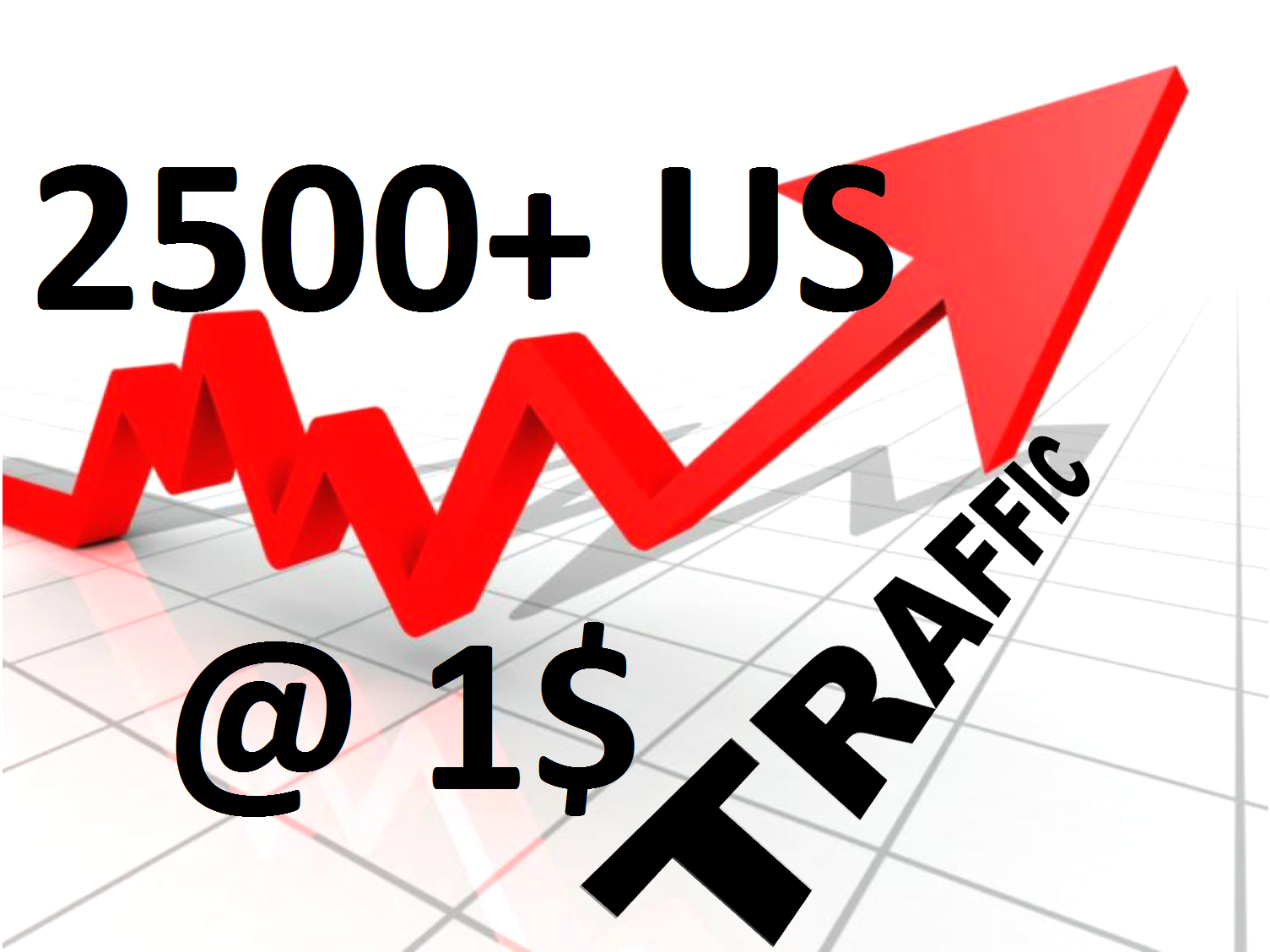 will I will sent 2500+ US web traffics with social media referral