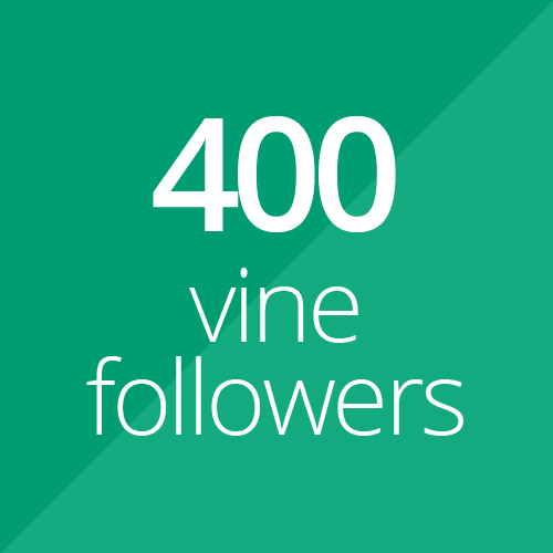 will 400 High Quality Vine followers