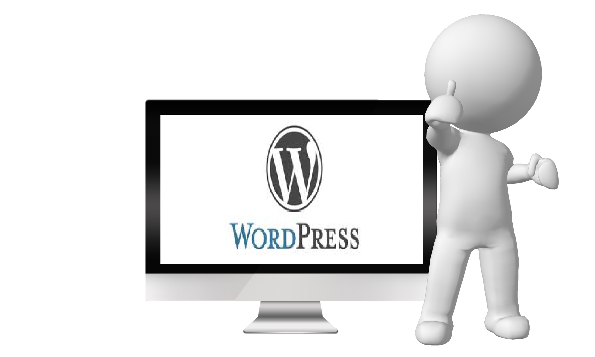 will I install any Wordpress theme the following packages