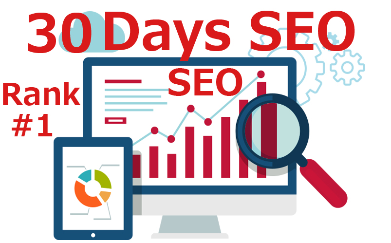 will I will provide prowerful SEO pro