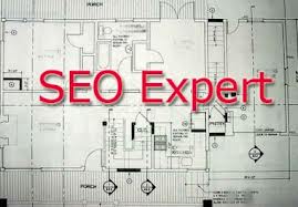 will create a professional 60 second video testimonial or review for your product or service