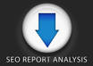 will %%scan your website and send you two full detailed SEO reports %%