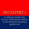 seoexpert1