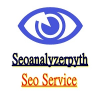 seoanalyzer