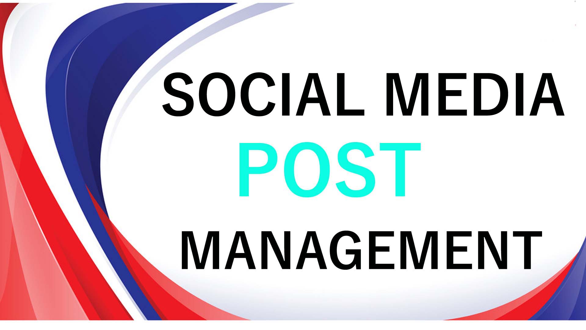 Professionally Do Organic Social media management promotion with active audience