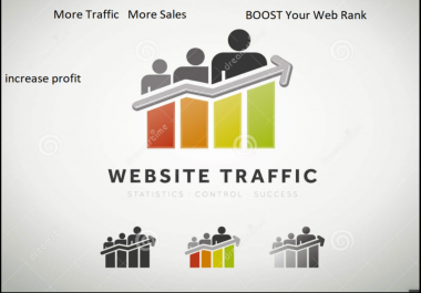 Real 40,000 Human Visitors From worldwide Traffic to your Website