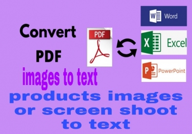 I will convert pdf to word or excel,  image to text