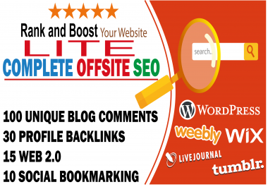 Complete offsite seo lite version to rank your business