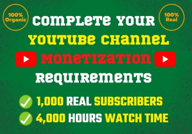 I will do video campaign for complete youtube channel monetization