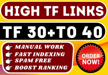 make high tf 45 plus 100 permanent homepage SEO backlinks
