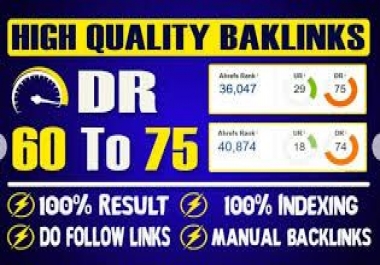Bulid 10 PBN Backlinks DR60 to75+ Unique Domain High Qulity Domain