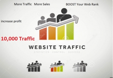 Real 30,000 Human Website Visitors From Google,  Social Media Web Visitors to your website for 1