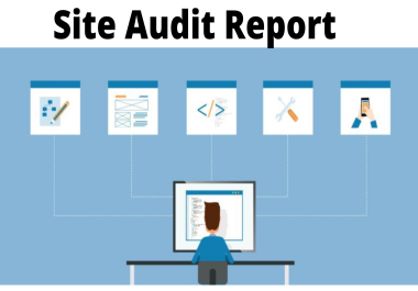 I Provid manually Report of Site Audit