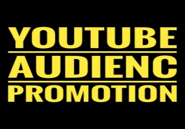 Organic YouTube Audienc promotion