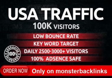 providing 100,000 super USA target website traffic,  visitors