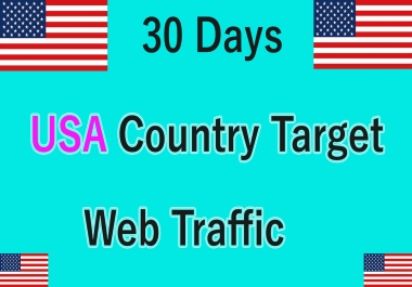 30 days USA genuine real traffic to your website